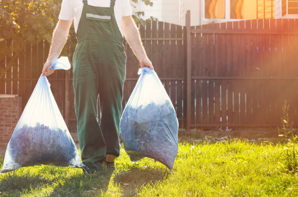 Professional Junk Removal in Willow Springs, MO